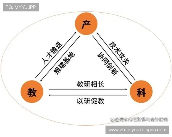 职业联赛的比赛判罚机制
